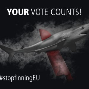 stop_finning_eu-en-1024x724